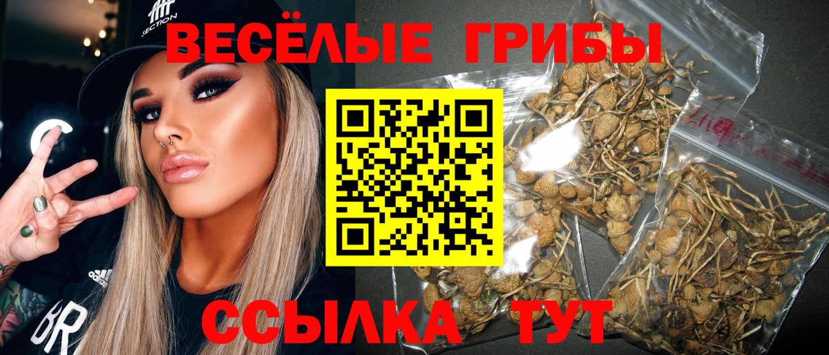 Псилоцибиновые грибы MAGIC MUSHROOMS  Псилоцибиновые грибы MAGIC MUSHROOMS  Вышний Волочёк  Вход с VPN 